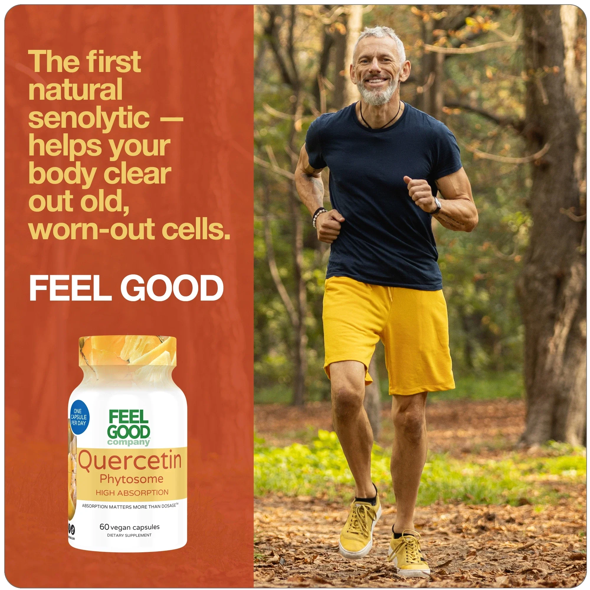 Quercetin Phytosome™ (60 Vegan Capsules) - Image 7